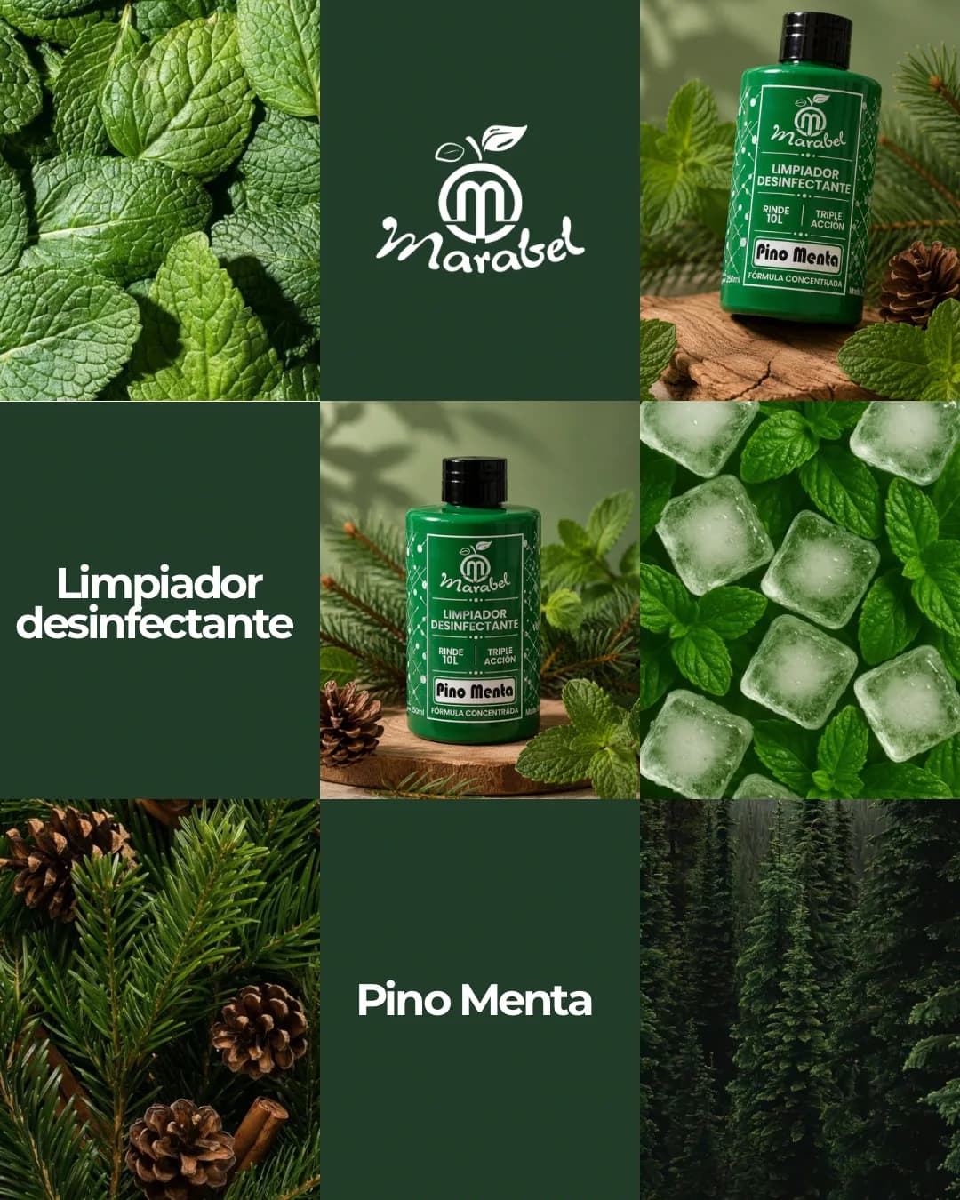 Concentrado De Piso Pino Menta