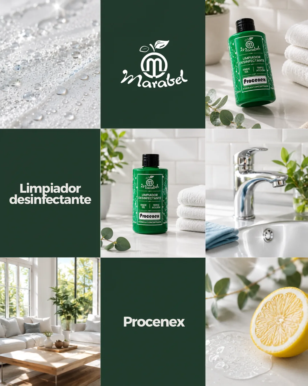 Concentrado De Piso Procenex